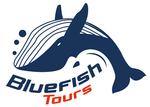 Bluefish Tours