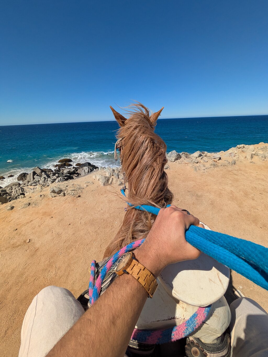 Picacho Adventures: Horseback on the Beach & Desert